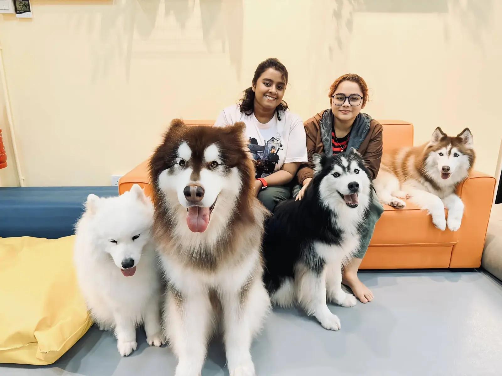 Husky moment